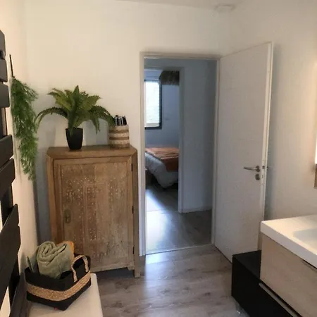 Maison Avec Terrasse En Bois Et Piscine *