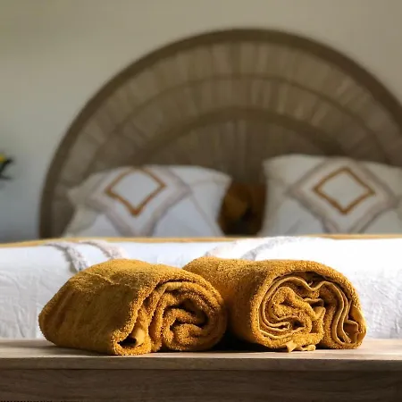 Villa Maison Avec Terrasse En Bois Et Piscine *