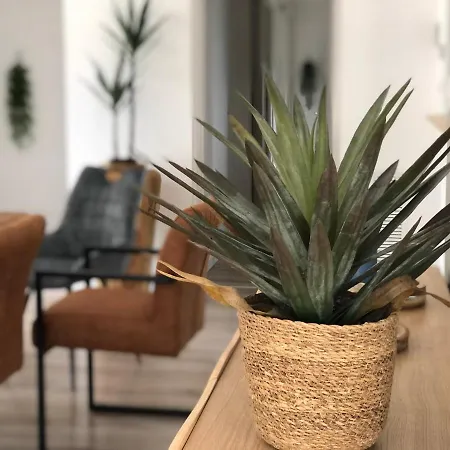 Maison Avec Terrasse En Bois Et Piscine Villa