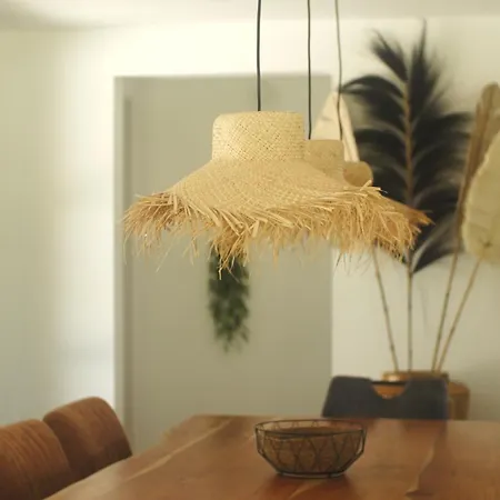 Villa Maison Avec Terrasse En Bois Et Piscine Varaire