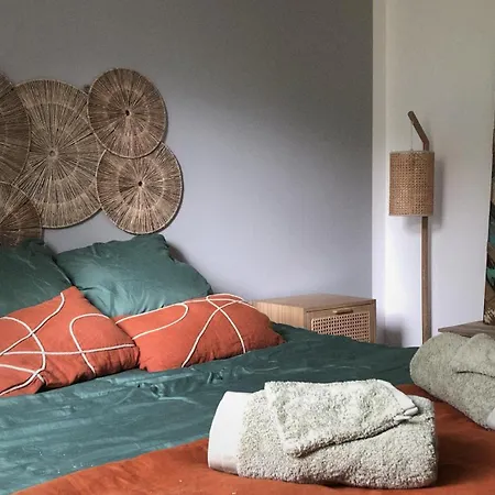 Villa Maison Avec Terrasse En Bois Et Piscine Varaire