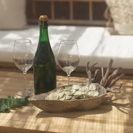 Maison Avec Terrasse En Bois Et Piscine Villa *