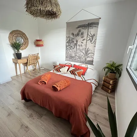 Villa Maison Avec Terrasse En Bois Et Piscine Varaire