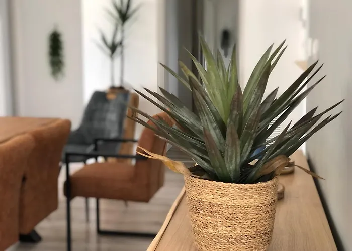 Maison Avec Terrasse En Bois Et Piscine Вилла