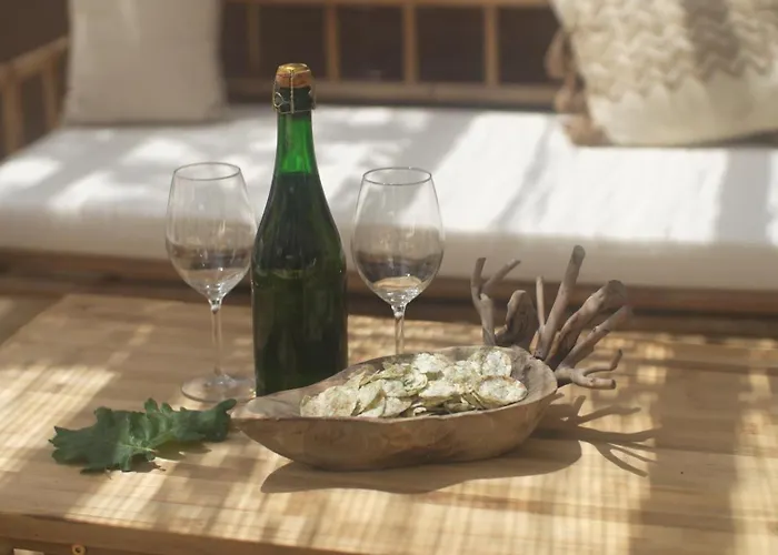 Maison Avec Terrasse En Bois Et Piscine Вилла *