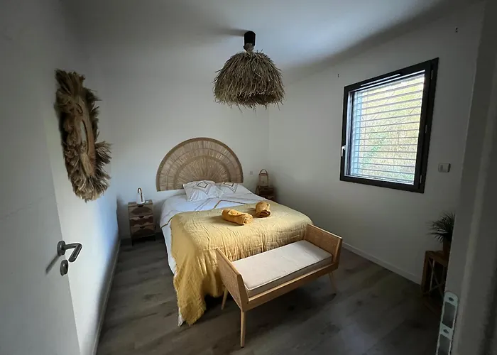 Maison Avec Terrasse En Bois Et Piscine Varaire