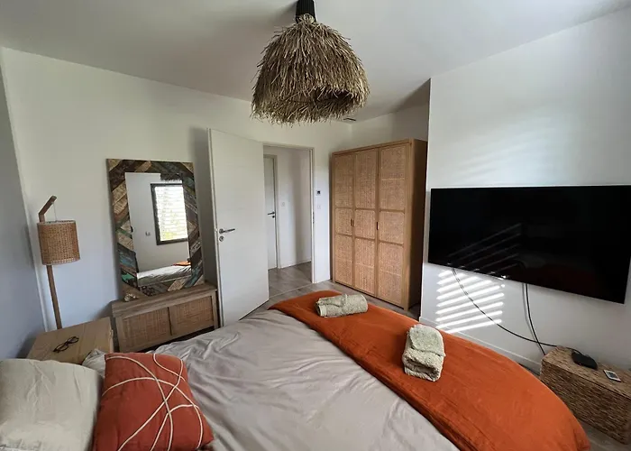 Maison Avec Terrasse En Bois Et Piscine